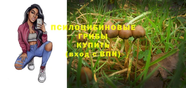гашик Бугульма