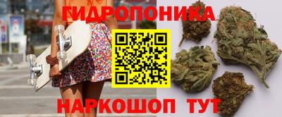 ПСИЛОЦИБИНОВЫЕ ГРИБЫ Гусь-Хрустальный