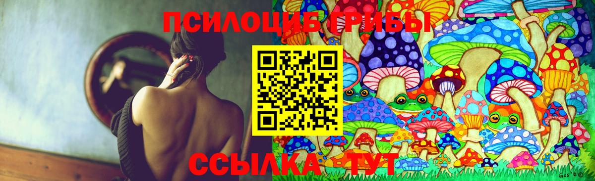Псилоцибиновые грибы Psilocybine cubensis Можайск